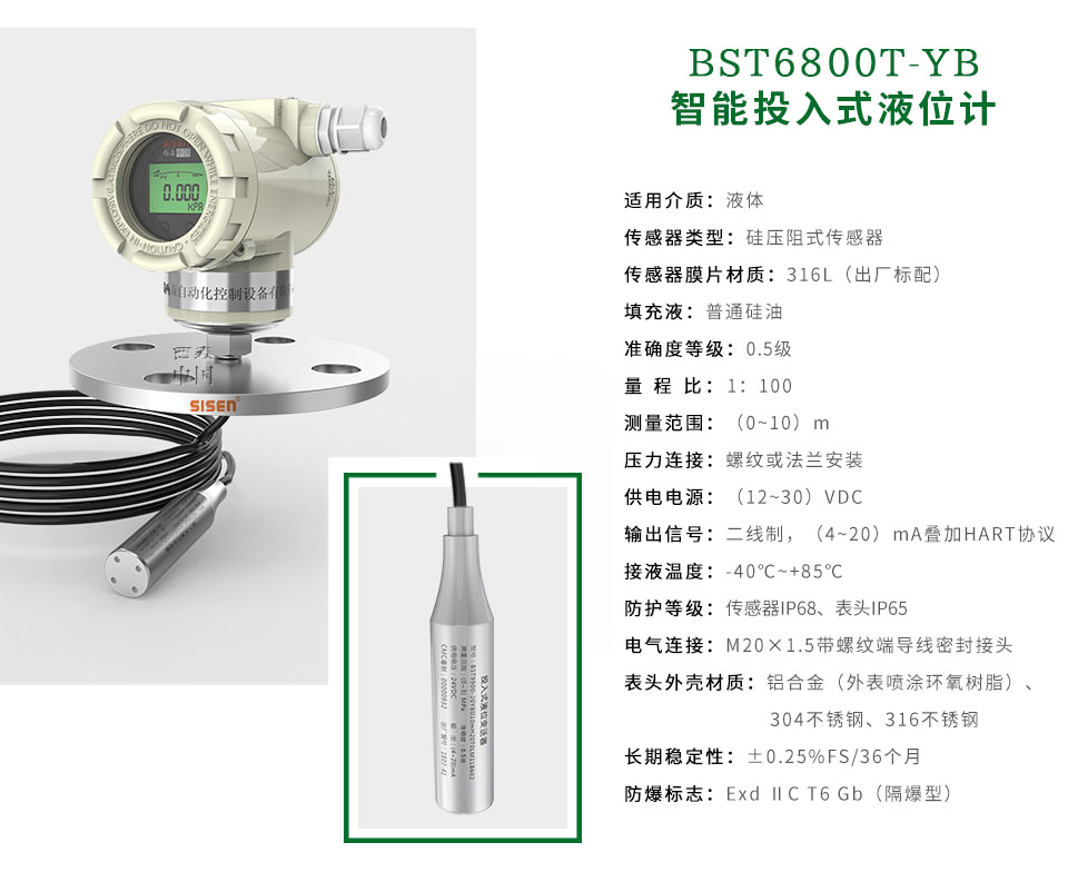 BST6800T-YB智能投入式液位計廠(chǎng)家